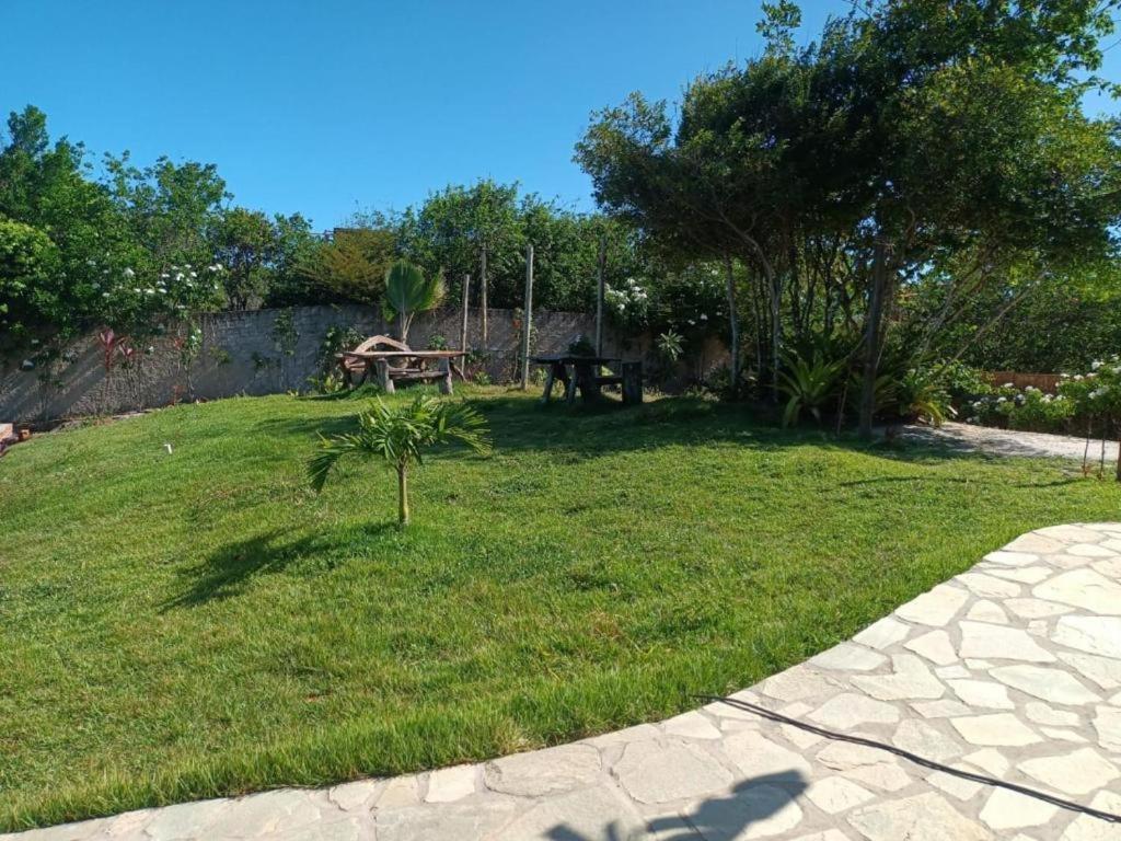 Pipa Golfinhos 4*